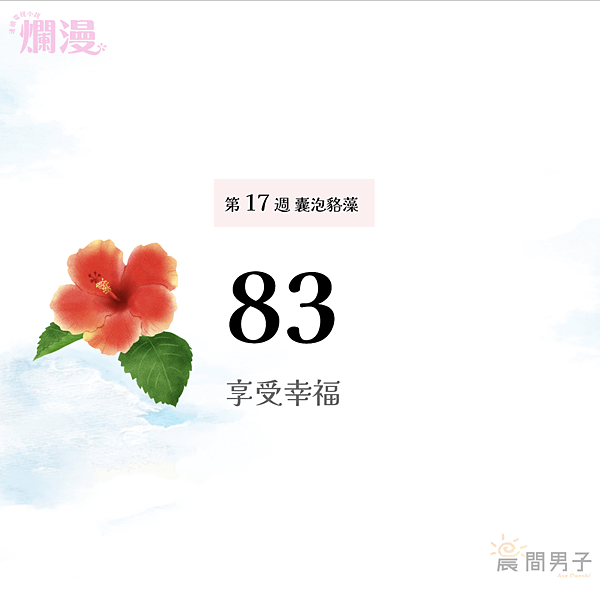 截圖 2023-07-26 下午5.06.36.png