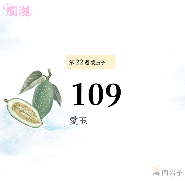 #日劇 #晨間劇 《爛漫》 第二十二週109 愛玉子 in 