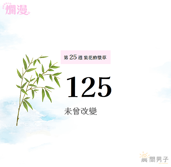 #日劇 #晨間劇 《爛漫》 第二十五週125 紫花酢漿草