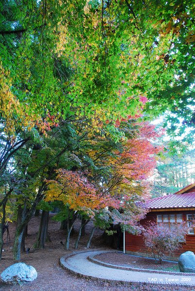 nEO_IMG_DSC_6589.jpg