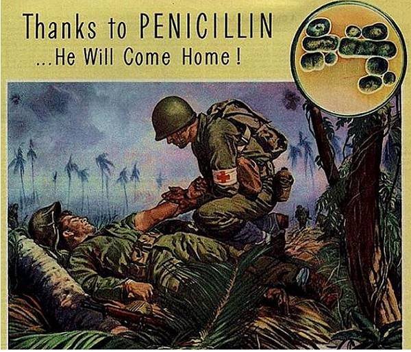 Penicillin2.jpg