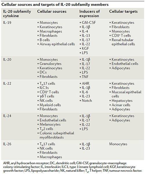 IL-20 subfamily cytokines