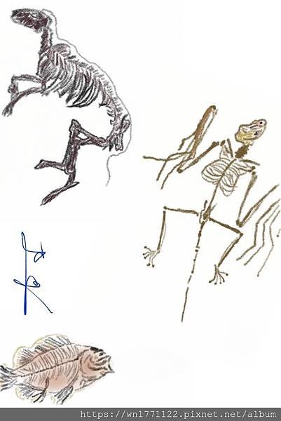 20759.jpg