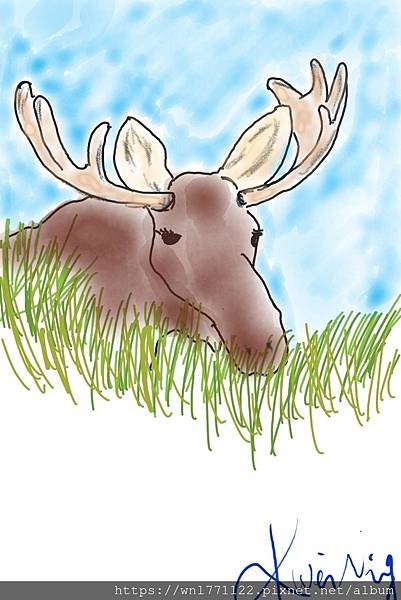 moose.jpg