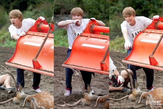 [STARCAST] 「歸農的夢？」李洪基的歸農指數大解析 in 《摩登農夫》