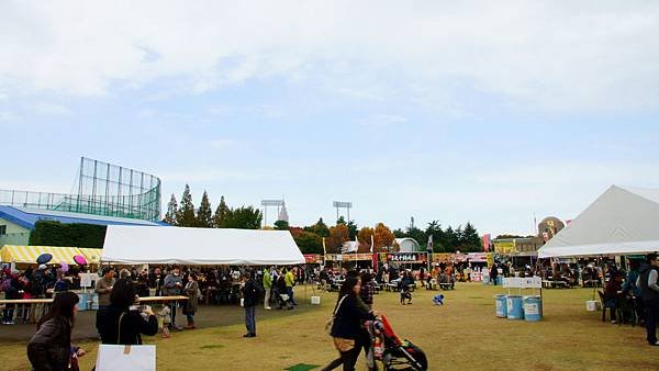050-DSC04834