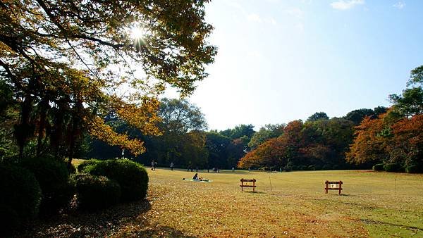 072-DSC04868