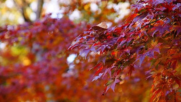 01-DSC04983