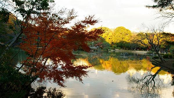 18-DSC05009