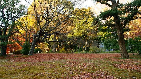09-DSC04998