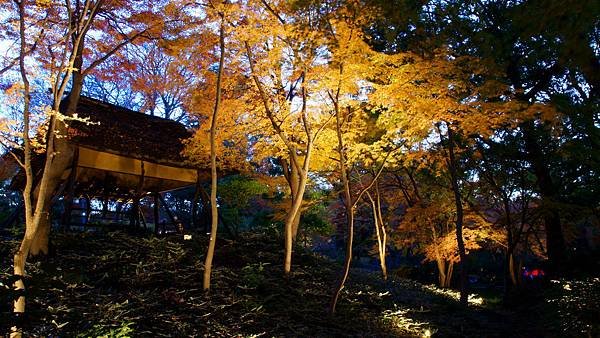27-DSC05029