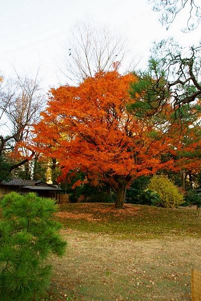 10-DSC04999