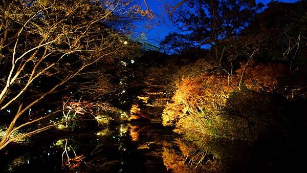 31-DSC05041