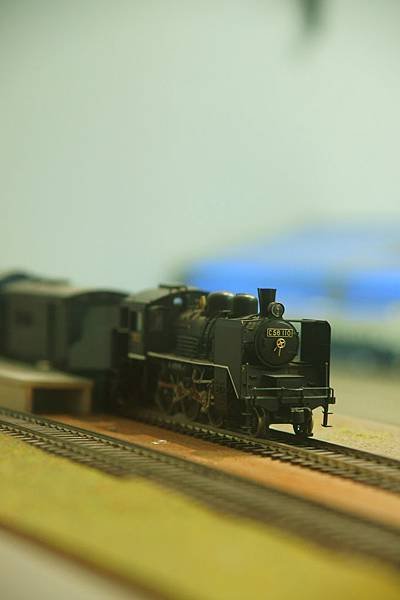 17-DSC05519