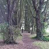 1878-Howth Road下車到我家的路上會經過的.jpg