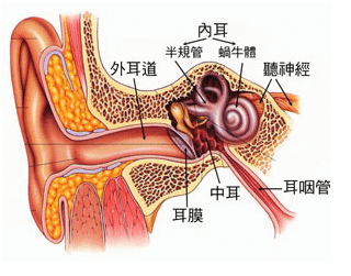 未命名