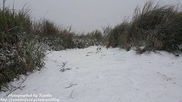 PhotoCap_081.jpg