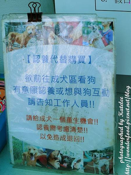 PhotoCap_134.jpg