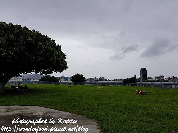 PhotoCap_011.jpg