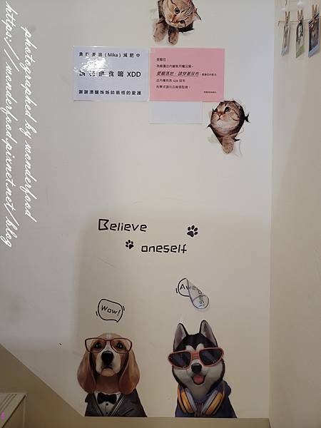 【MIKA KITCHEN 美嘉廚房】新竹南寮寵物友善餐廳 