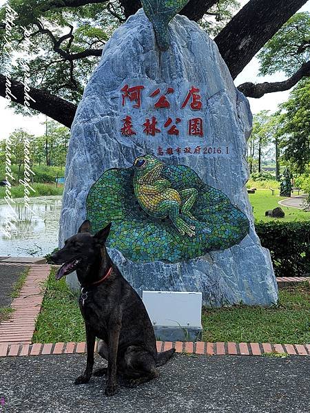 【阿公店森林公園】高雄景點 ★ 豐富生態和兒童遊戲區/親子寵