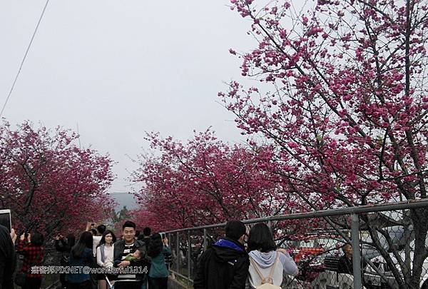 C360_2015-02-26-13-11-20-677.jpg
