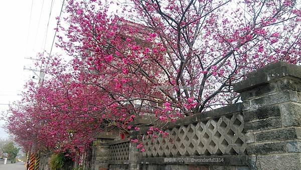 C360_2015-02-26-13-17-28-731.jpg