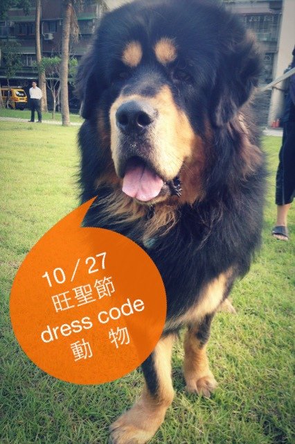 旺聖節dress code