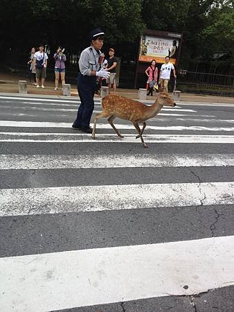 IMG_1610.JPG