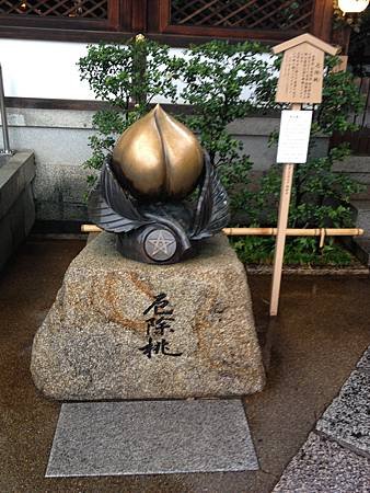 IMG_1655.JPG