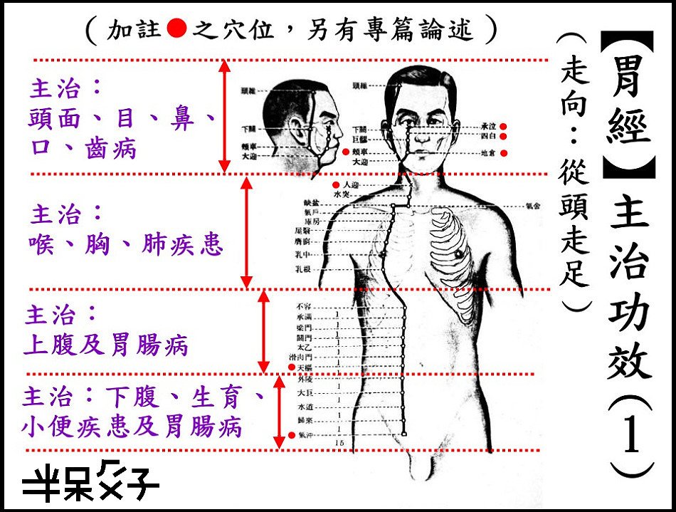 ●3-1胃經-1.jpg