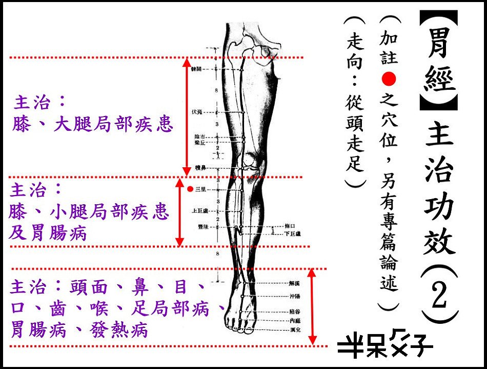 ●3-2胃經-2.jpg