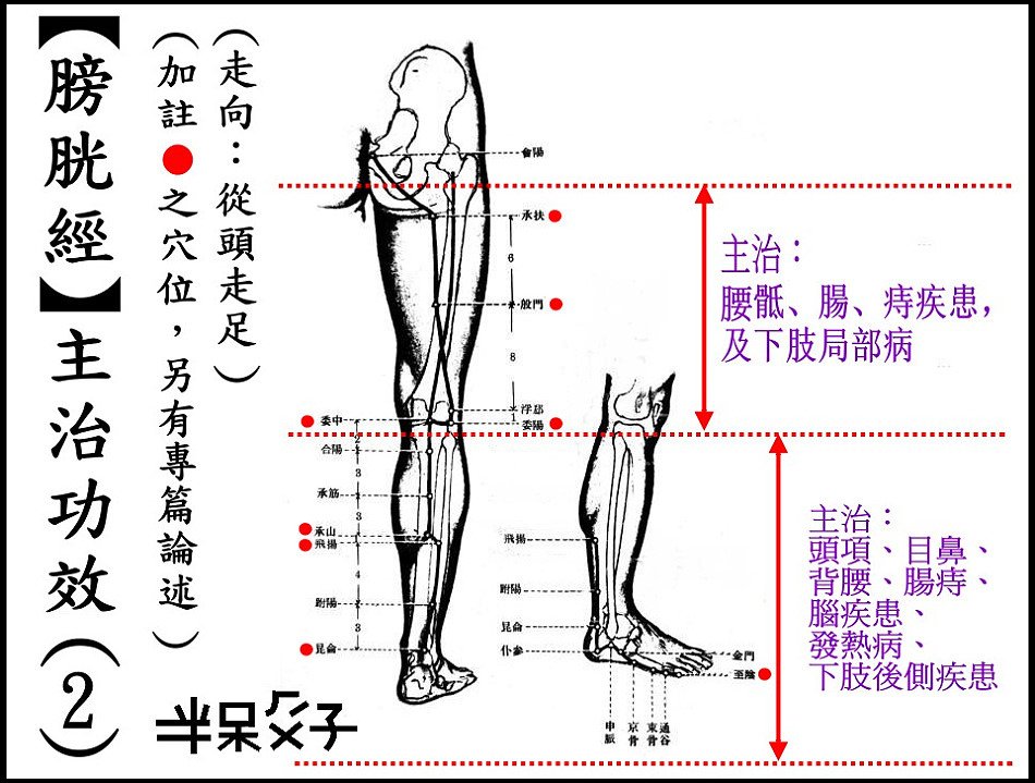 ●7-2膀胱經-2.jpg