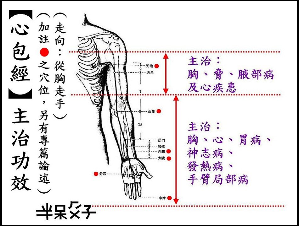 ●9心包經.jpg