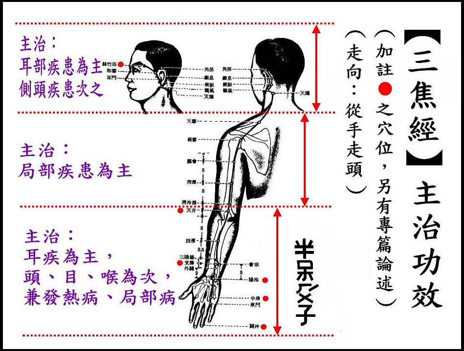 ●10三焦經.jpg