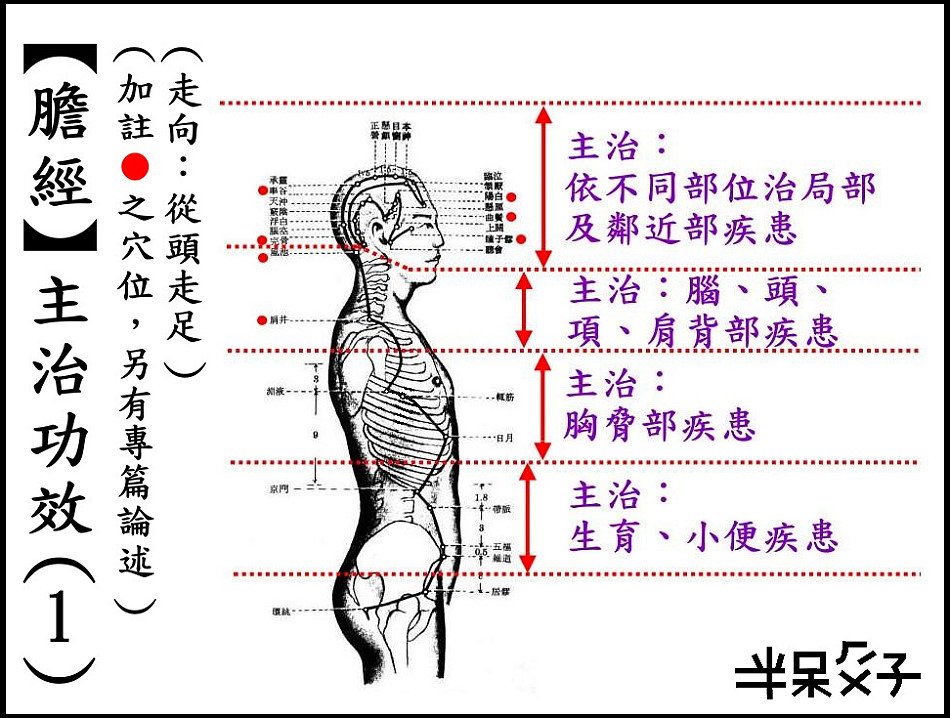 ●11-1膽經-1.jpg