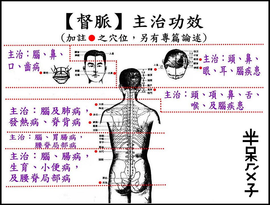 ●14督脈.jpg