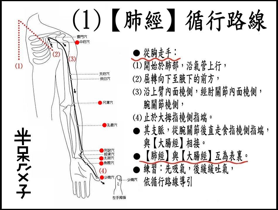 ●(1)肺經.JPG