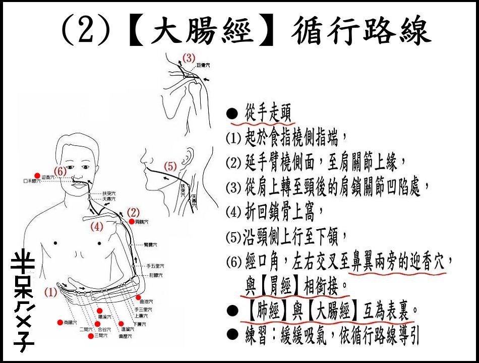 ●(2)大腸經.jpg