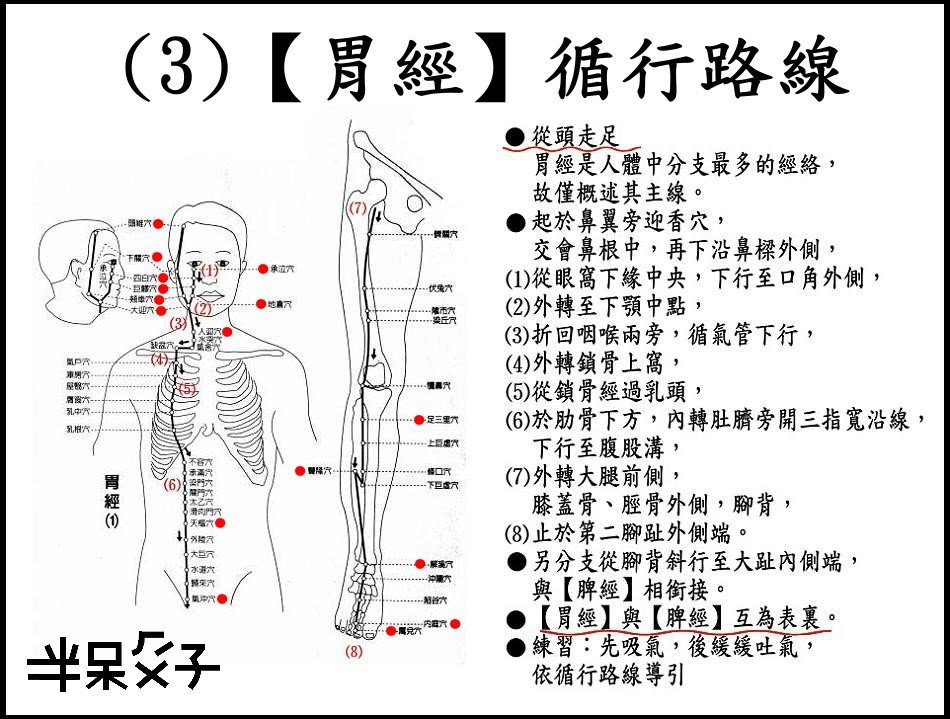 ●(3)胃經.jpg