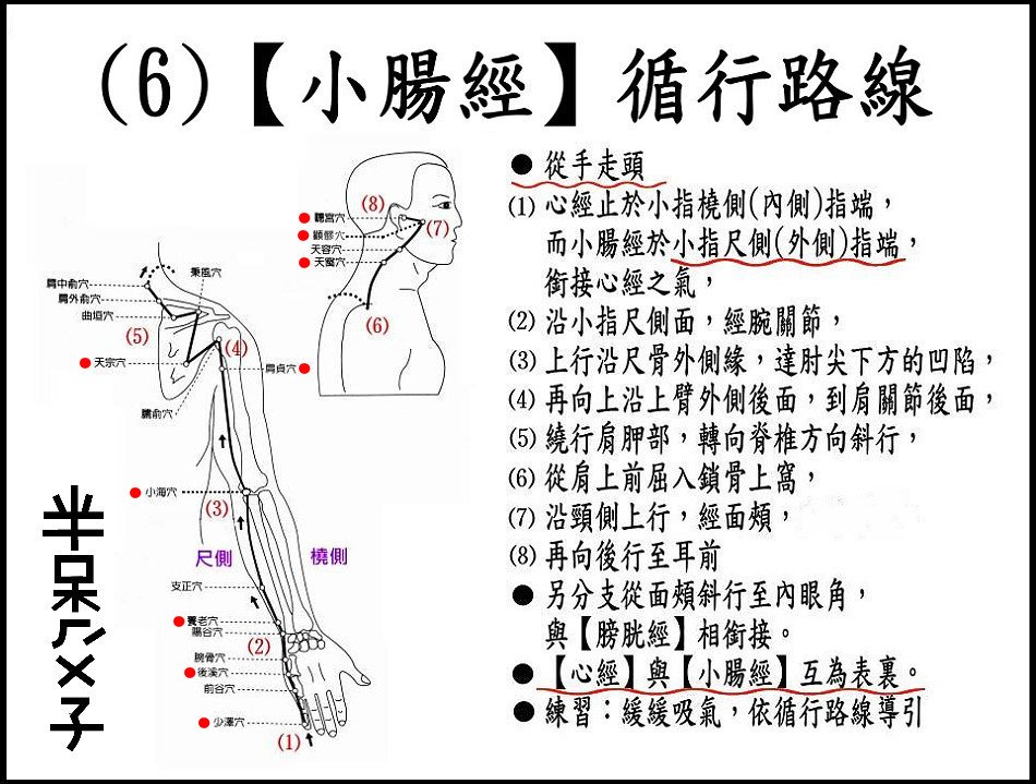 ●(6)小腸經.jpg