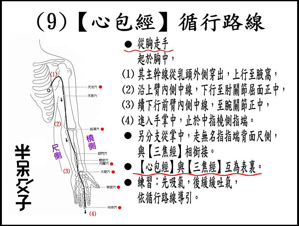 ●(9)心包經.jpg