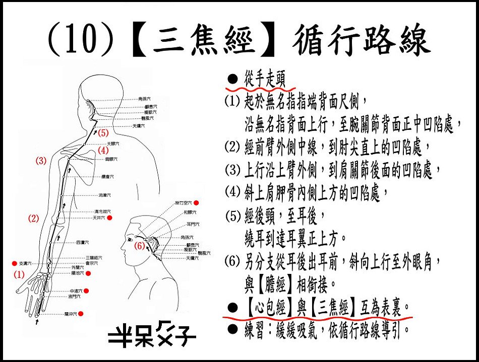 ●(10)三焦經.jpg