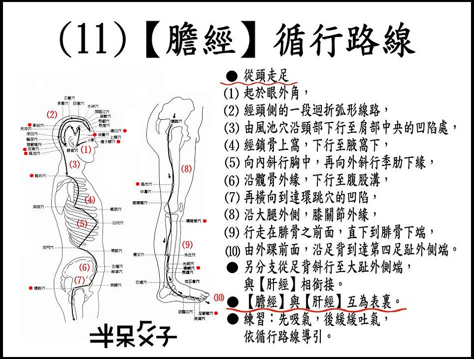 ●(11)膽經.jpg