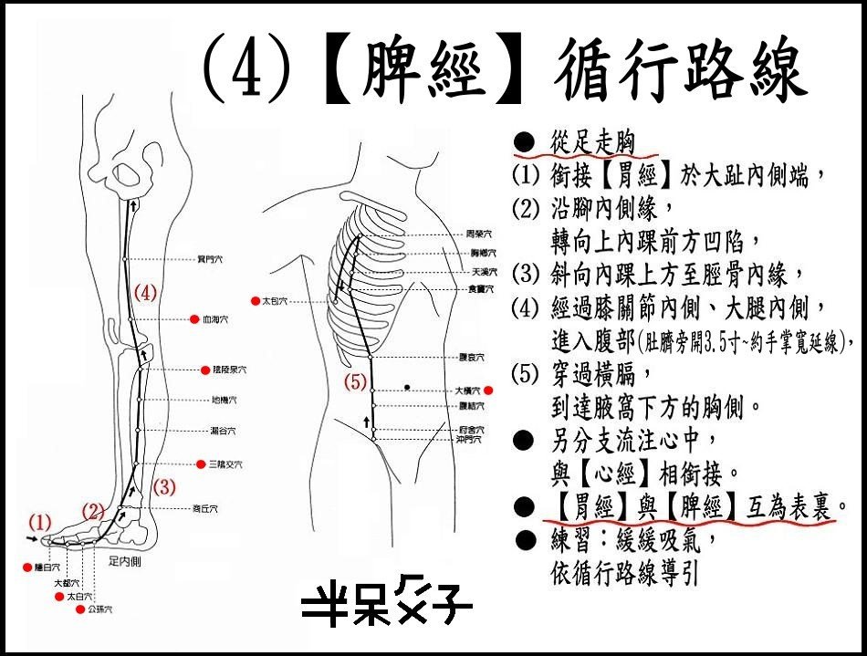 ●(4)脾經.jpg