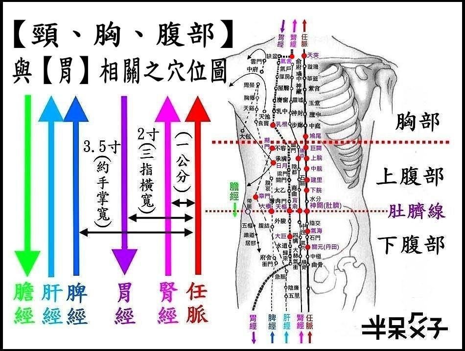 ●1頸胸腹部.jpg