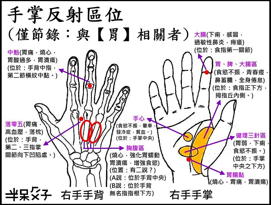 ●3手掌反射區.jpg