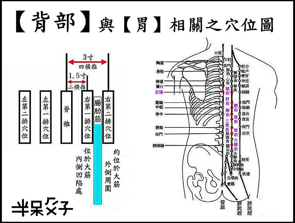 ●4背部.jpg