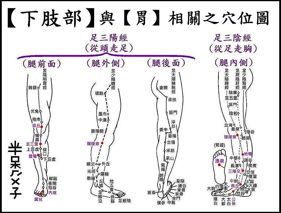 ●5下肢部.jpg