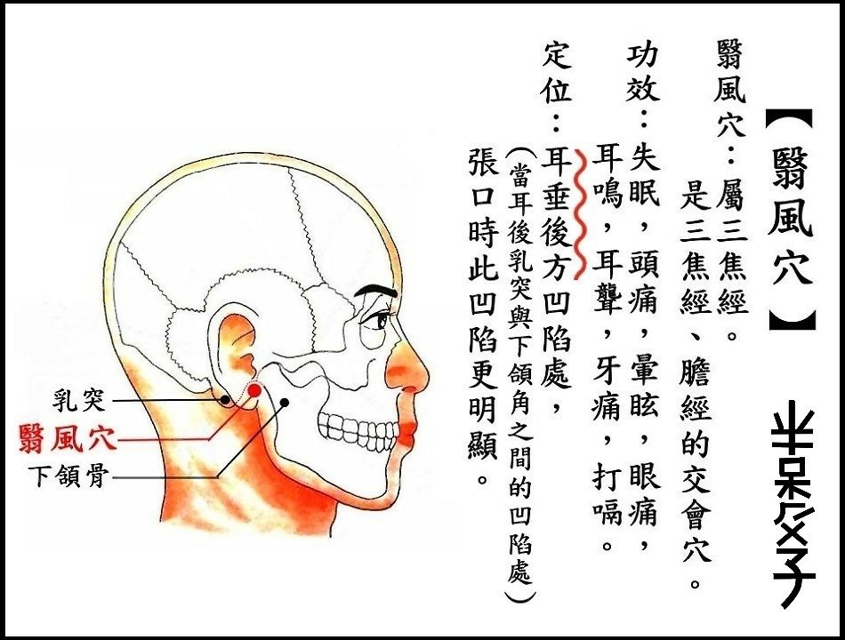 ●翳風穴(頭).JPG